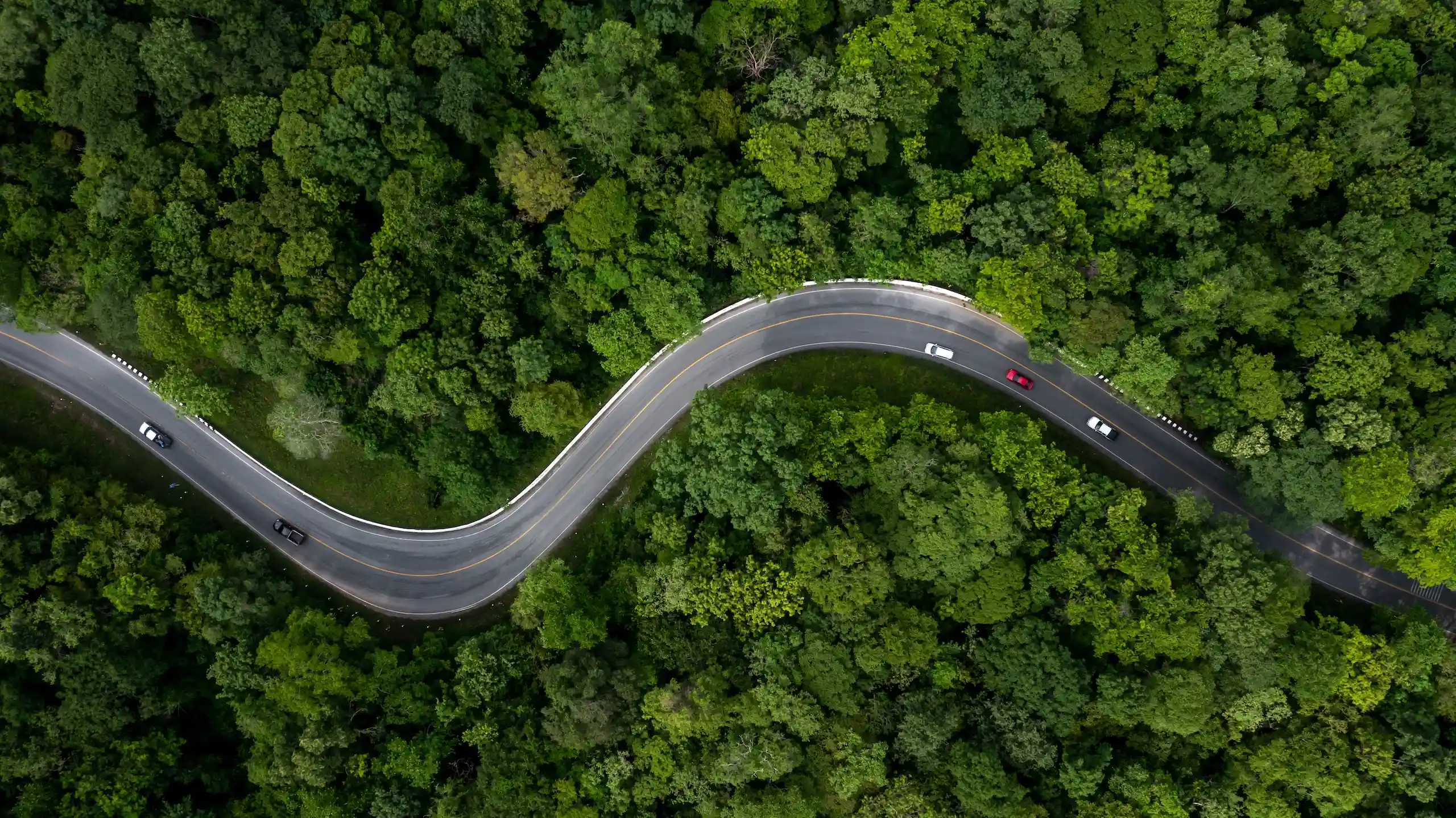 Automotive & Energy Distributor | ERP Rescue